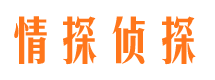 宁都市私家侦探